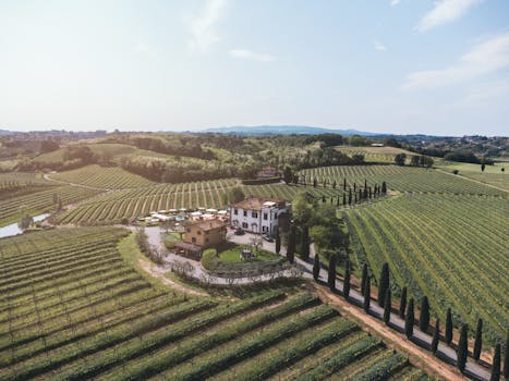 Villa Oleander - A Romantic Escape in Tuscany Italy
